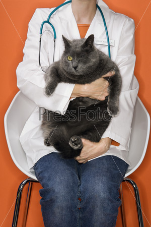 Veterinarian holding one eyed cat.