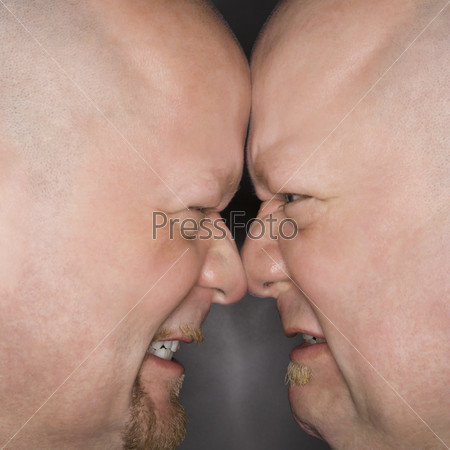 Close up of Caucasian bald mid adult identical twin men standing face to face with angry expression.