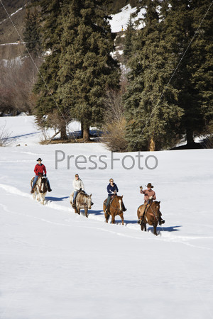 Group horseback riding in snow covered landscape in Colorado, USA.