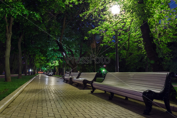 benches on the pavement in the light of a lantern at night in summer park
