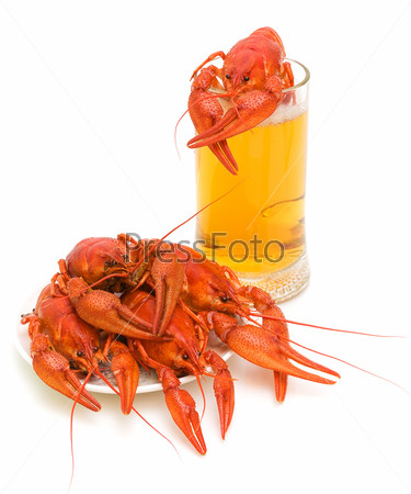 Boiled crayfish and a glass of beer isolated on white background