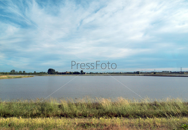 Paddy field flooded parcel of arable land used for growing rice crops, near Vercelli, Lombardy, Italy