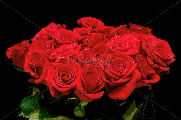 large bouquet of beautiful red roses in drops on a black background