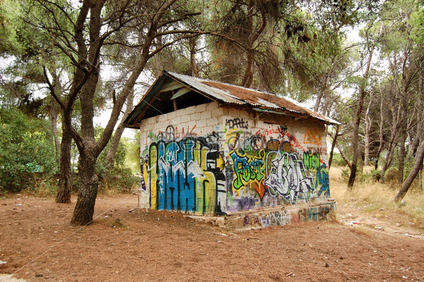 Graffiti covered cinder block hut in a forest.