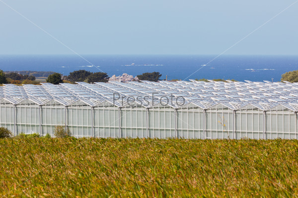 view of an agricultural greenhouses