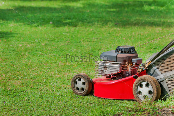 Red lawn mower on green grass in sunny day
