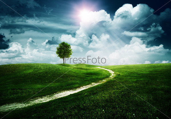 Straight way to the happy future Abstract natural backgrounds, stock photo