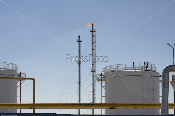 Petrochemical and gas plant