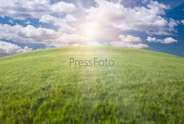 Arched Horizon of Lush Green Grass Field, Sky