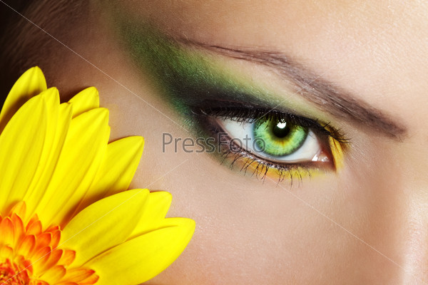 Beauty female eye Makeup with gerber flower. close-up