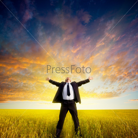 happy businessman standing on field before the sunset