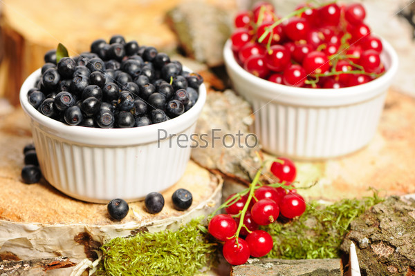 Wild berries in bowls - blueberry, redcurrant