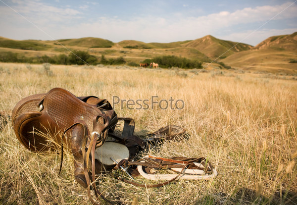 A western saddle laying on the prairie grassland with horses and rolling hills in the background