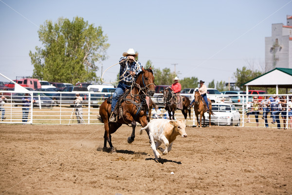 A calf roping image for a local rodeo