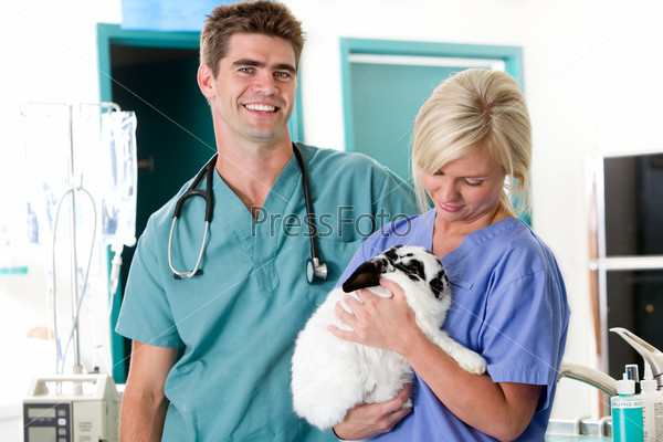 A vet clinic portrait with one person holding a rabbit