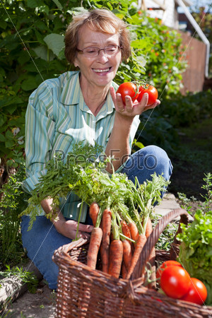 Пожилая женщина в саду собирает урожай