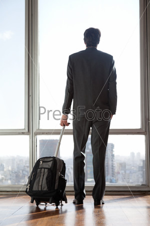 Rear view of businessman in formal wear holding luggage