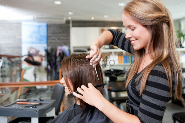 Hairdresser Cutting Client\'s Hair