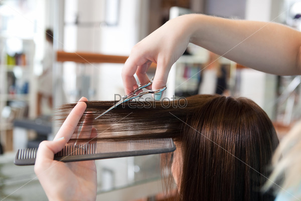 Hairdresser cutting client\'s hair in beauty salon.