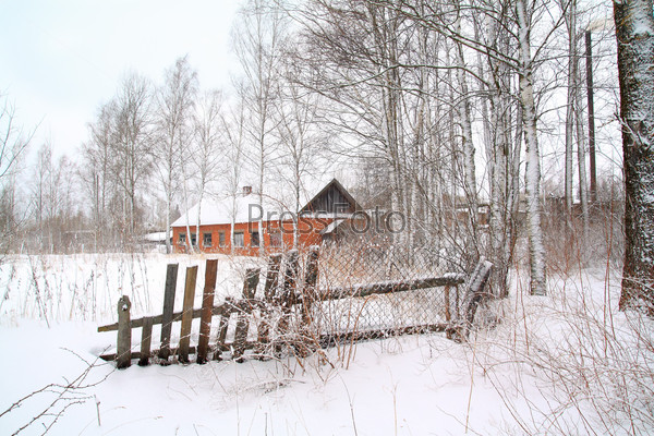 red house amongst white birch