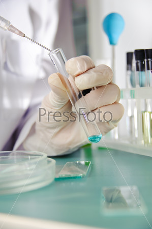 Medical laboratory research tools in the hands in gloves.