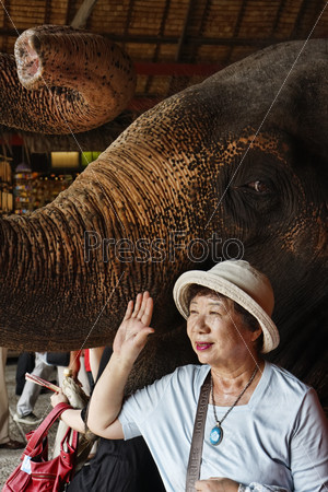 Таиланд, Бангкок, розовый сад, тайская женщина позирует у азиатского слона