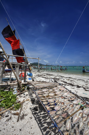 Thailand, Koh Samui (Samui Island), local fishing boats and fish drying with the sun