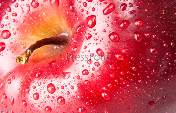 Red apple, stock photo