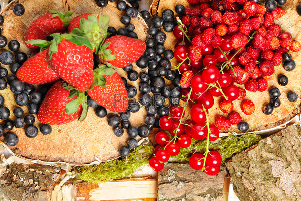 Wild berries - blueberry, redcurrant, strawberry