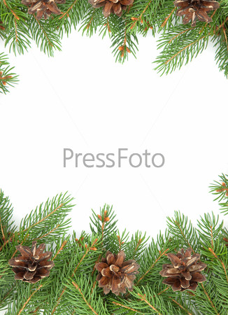 Christmas green  framework isolated on white background