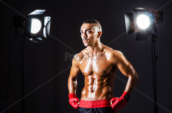 Boxer and studio lights, stock photo