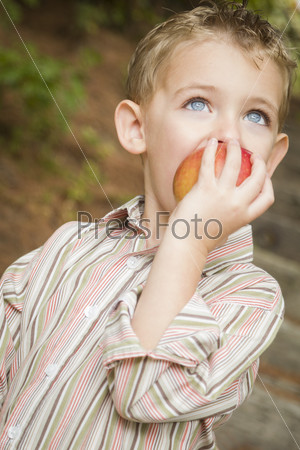 Adorable Child Boy Eating Red Apple Outside