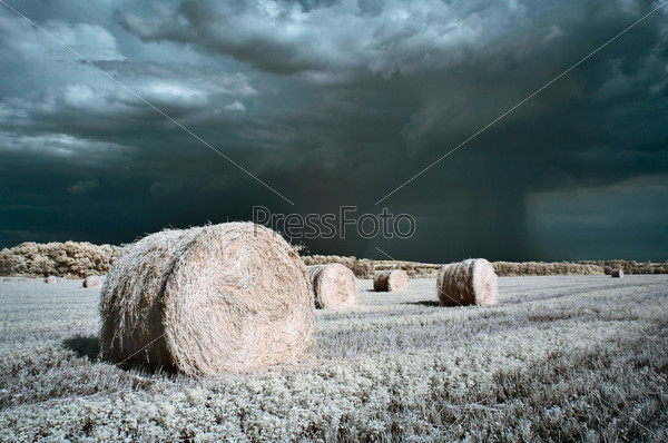hay rolls summer infrared surreal landscape