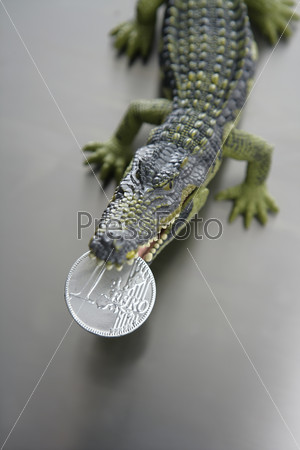 Toy plastic crocodile, alligator with euro money in its sharped teeth jaws metaphor