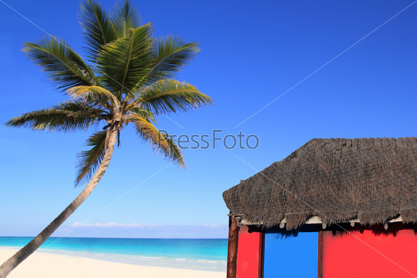 Caribbean coconut palm tree and red hut cabin