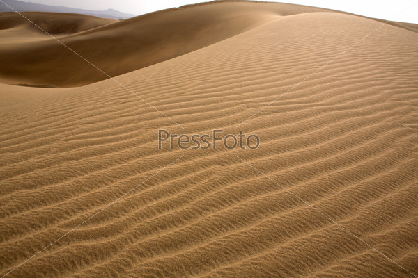 Desert dunes sand in Maspalomas Oasis Gran Canaria at Canary islands