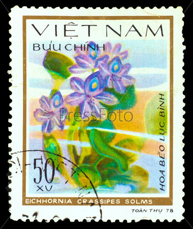 VIETNAM - CIRCA 1978: A stamp printed in VIETNAM, shows Eichhornia crassipes or water hyacinth, circa 1978
