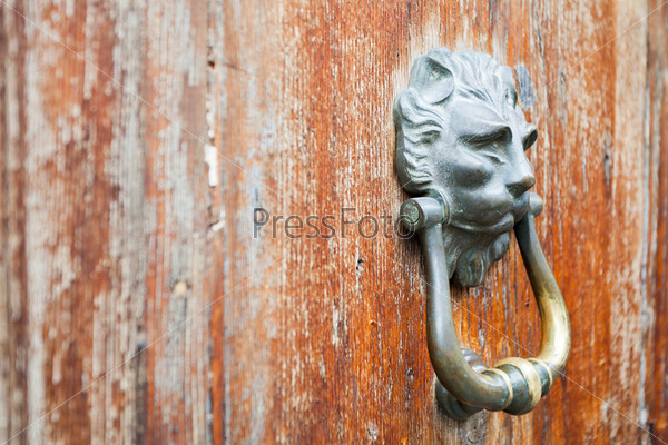 old bronze lion head shaped door handle on shabby urban door