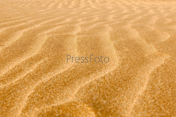 Perspective view to clean rippled sand on the ocean beach