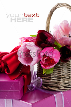 Pink tulips and gift boxes on a white background. With sample text.