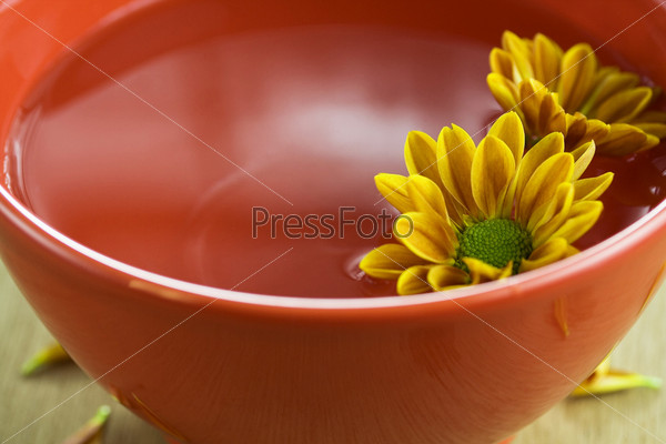 SPA feelings-bowl of water and flowers