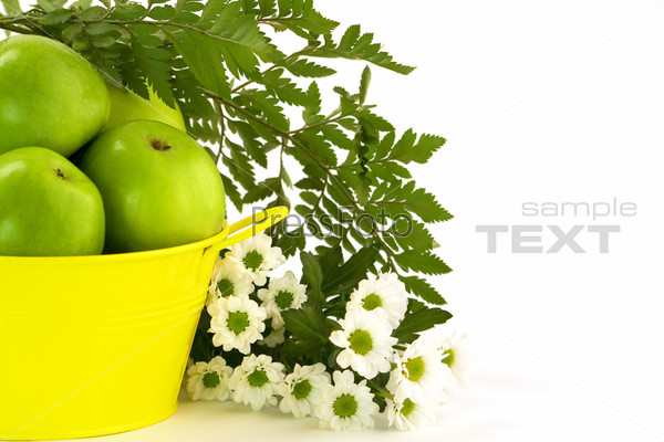 Green apples, yellow bucket and flowers on white. With sample text