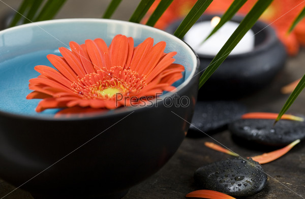 Spa setting with bowl of water, flower and candles
