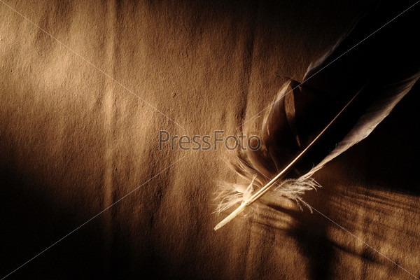 Feather on old paper surface under beam of light