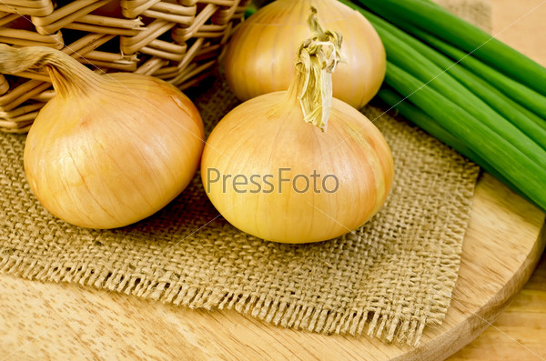 Three yellow onions, a bunch of green onions, wicker basket on a background of burlap cloth and wooden planks