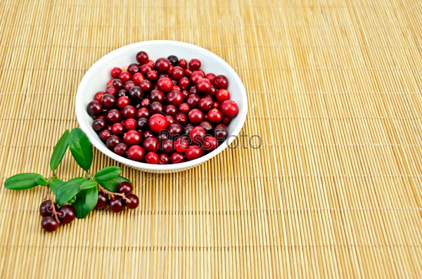Berry lingonberry in a white porcelain bowl, two twigs with berries and green leaves on a bamboo mat