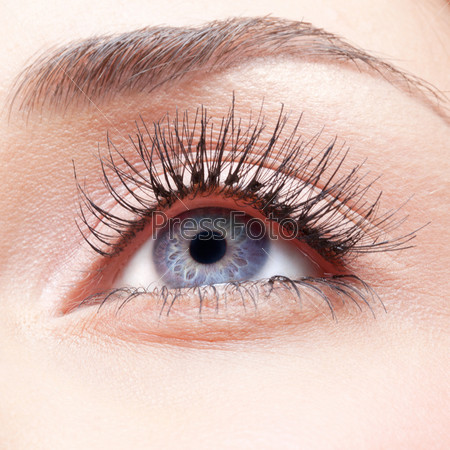 Closeup shot of woman eye with false lashes