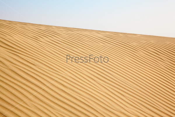 Sand dunes of desert Thar  in Rajasthan, India