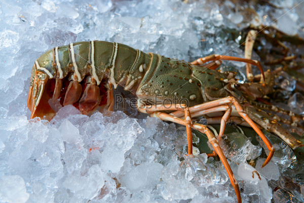 Fresh lobster on ice for sale at restaurant