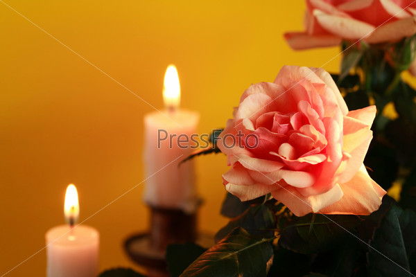 Closeup of nice rose near lighting candles on yellow background
